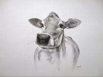 Moo to you by Terence Donnelly