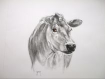 Moo to you too by Terence Donnelly