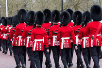 Grenadier Guards von David Pyatt