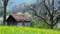 'Alte Hütte' von gugigei