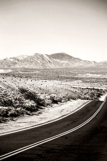 Straße zum Death Valley  by Bastian  Kienitz
