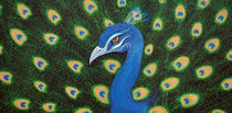 Peacock by Laura Barbosa