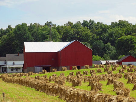 Amish-farm