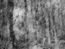 VISIONS by philippe berthier