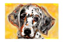 Young English Setter by Sandra  Vollmann