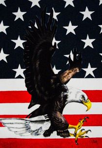 American Pride by Dawn Siegler