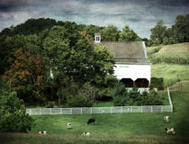 Amish Farm in the Fall by Gena Weiser