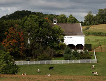 Amish Farm in the Fall with Textures von Gena Weiser