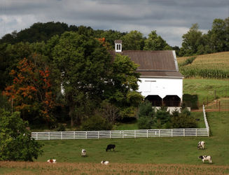 Farm-at-the-start-of-fall