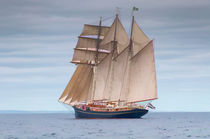 Tall Ship von Mary Fletcher