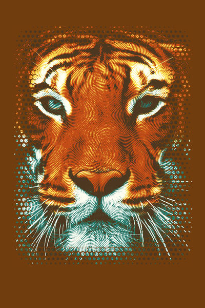 Tiger-be-wild-ii