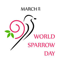 World sparrow day March 20 by Shawlin I