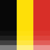 The National Flag of Belgium  by Shawlin I