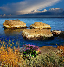 Stones coastal by Yuri Hope
