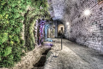 A Garden in the Basement (Girona Cathedral, Catalonia) by Marc Garrido Clotet