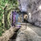 A-garden-in-the-basement-girona-cathedral