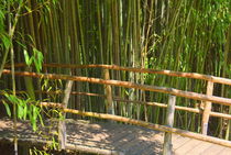 Brücke am Bambuswald von gugigei