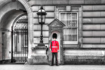 Buckingham Palace Queens Guard by David Pyatt