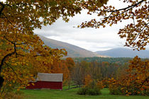 Vermont im Herbst von Borg Enders