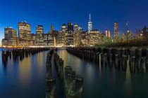 Manhattan Skyline by Borg Enders