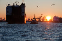 Sonnenuntergang im Hamburger Hafen von Borg Enders