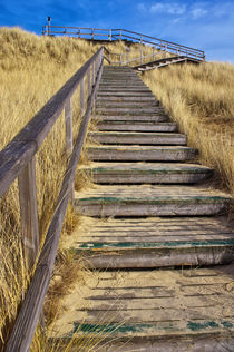 Aussichtsdüne - Insel Amrum von AD DESIGN Photo + PhotoArt