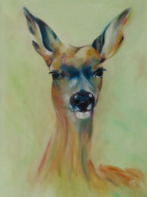 Bambi, Reh by Harri Spietz