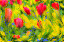 English Summer Flowers Pastel by David Pyatt