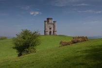 Paxton's Tower Folley von Leighton Collins