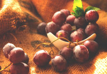 Weintrauben Stil von Tanja Riedel