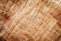 wood texture by oleksandr-malovichko