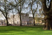 Buckingham Palace Through The Trees by David Pyatt