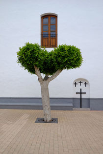 church tree by emanuele molinari