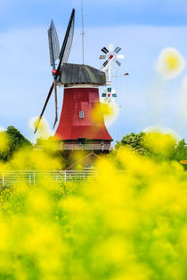 Windmühle in Greetsiel von sven-fuchs-fotografie