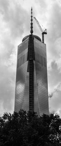 Freedom Tower, New York von Cesar Palomino