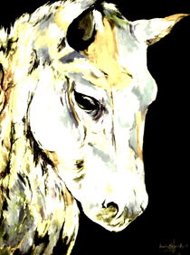 White Horse by Eberhard Schmidt-Dranske