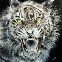 Tiger by daniel eichin
