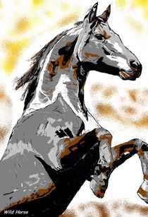  Rearing Wild Horse  by Sandra  Vollmann