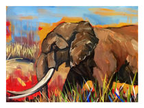 Elephant by Hal Sadler