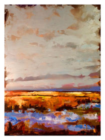 Marsh by Hal Sadler