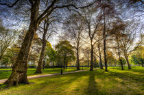 Green Park London by David Pyatt