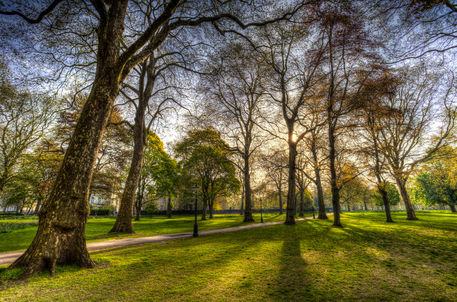 Green-park-london