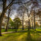 Green-park-london