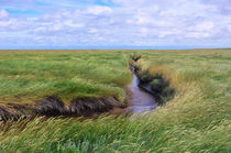 Landschaftsimpression Westerhever by AD DESIGN Photo + PhotoArt