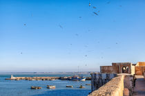 Die alte portugiesische Festungsstadt El Jadida in Marokko  von Gina Koch