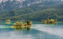 Eibsee-Inseln 27 by Erhard Hess