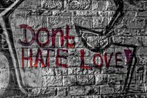 Don't hate Love by Peter Hebgen