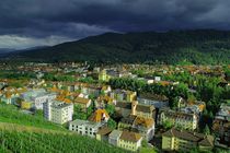 Freiburg Blick Richtung Osten von Patrick Lohmüller