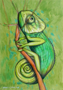 green chameleon by federico cortese