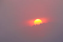 Sonnenaufgang im Nebel von Bernhard Kaiser